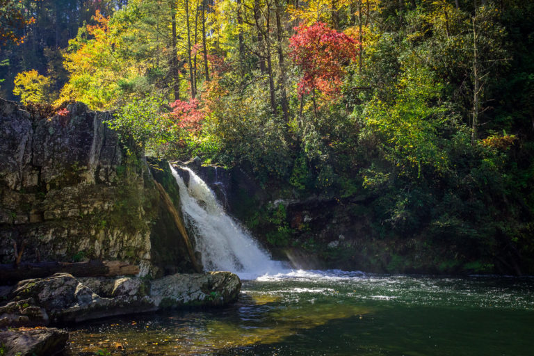 Driving Cades Cove & Hiking to Abrams Falls RealImaginarySmokies