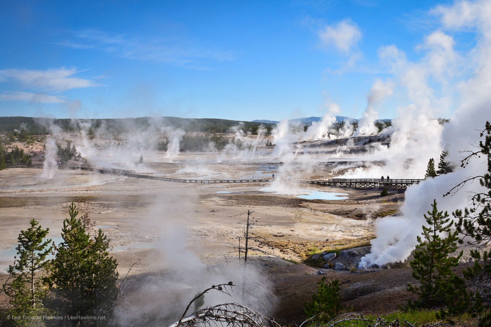 Geysers and got springs bellow hot water and steam across a grey landscape that looks like another planet.