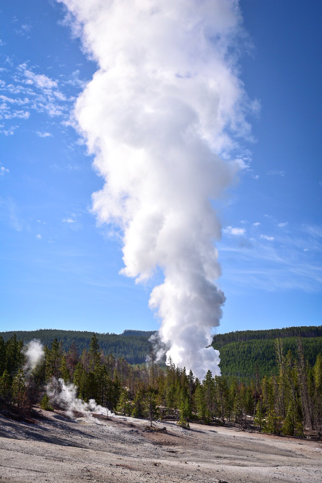 A huge plume of steam rises from a geyser.